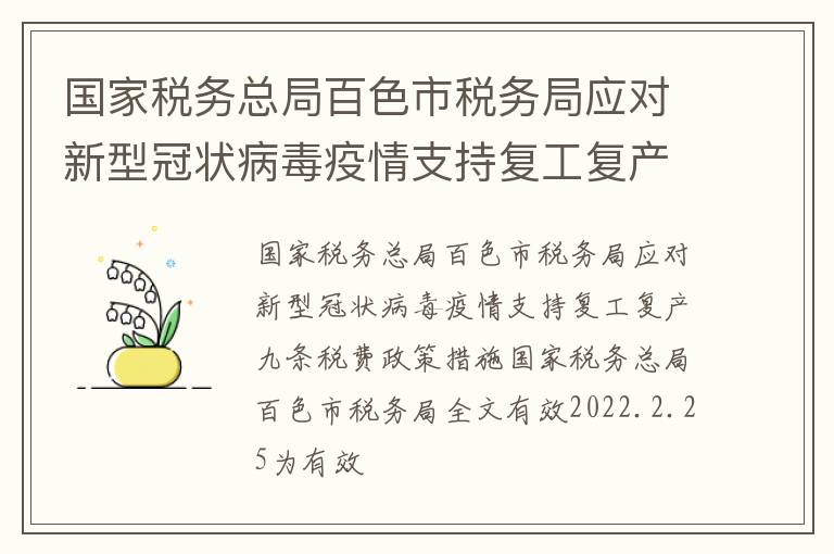 国家税务总局百色市税务局应对新型冠状病毒疫情支持复工复产九条税费政策措施