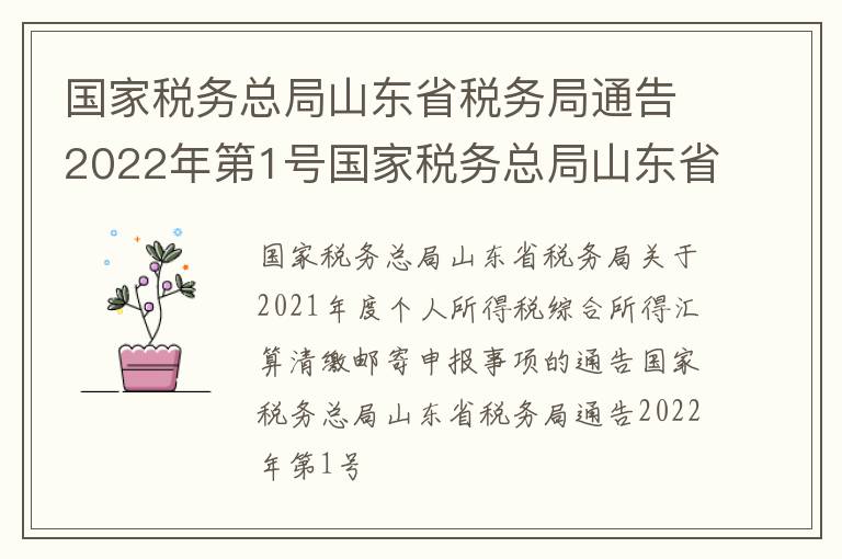 国家税务总局山东省税务局通告2022年第1号国家税务总局山东省税务局关于2021年度个人所得税综合所得汇算清缴邮寄申报事项的通告