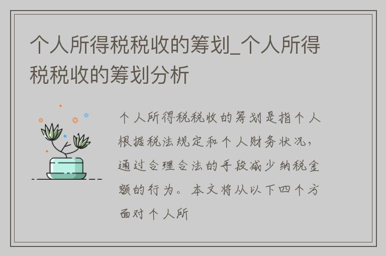 个人所得税税收的筹划_个人所得税税收的筹划分析