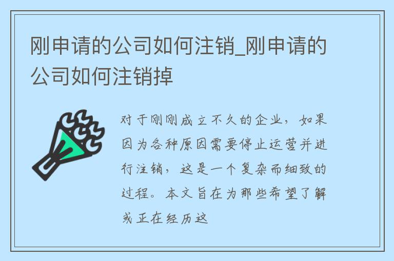 刚申请的公司如何注销_刚申请的公司如何注销掉