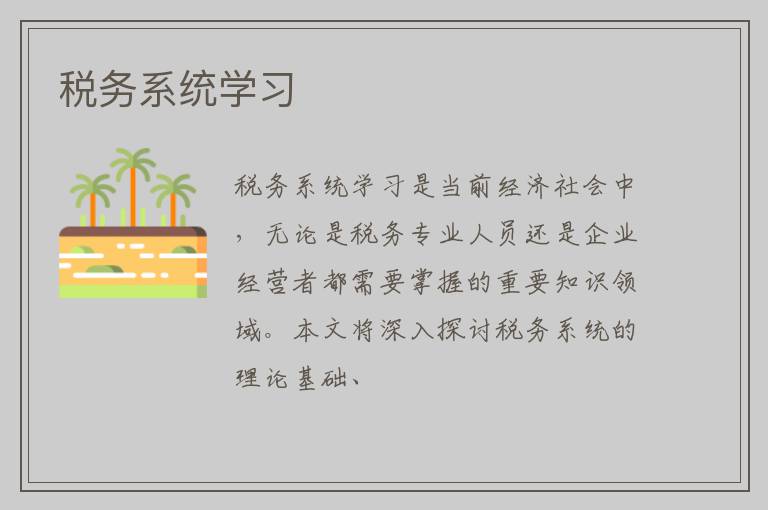 税务系统学习