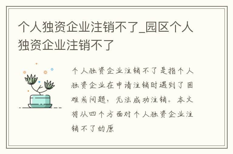 个人独资企业注销不了_园区个人独资企业注销不了