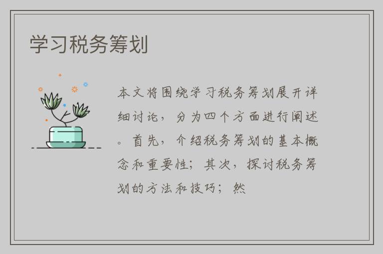 学习税务筹划