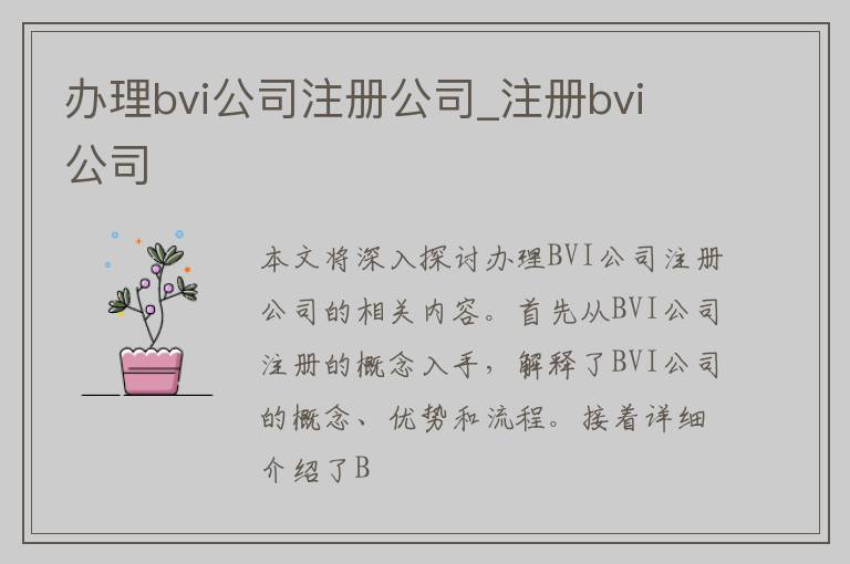 办理bvi公司注册公司_注册bvi 公司