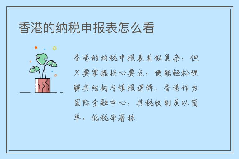 香港的纳税申报表怎么看
